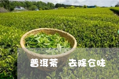 普洱茶 去除仓味/2023041106159